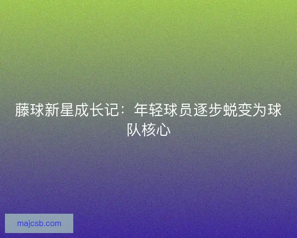 藤球新星成长记：年轻球员逐步蜕变为球队核心